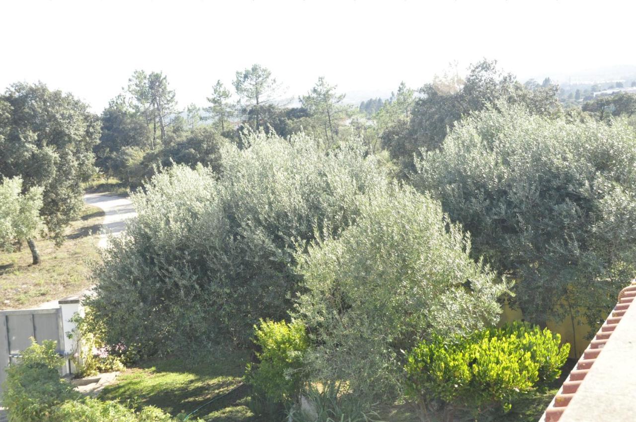 O Cantar Dos Passarinhos Fátima Dış mekan fotoğraf